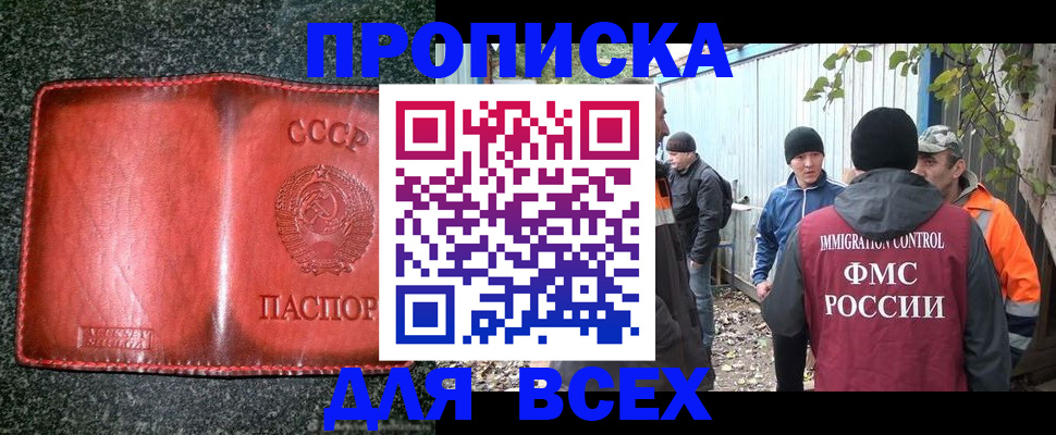 временная регистрация поиск в Камчатском крае
